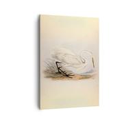 Quadro su Tela 50x70cm Uccello bianco airone Stampe Immagini Quadri Murale