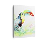 Quadro su Tela 50x70cm Uccello Tucano la curiosità selvaggio Stampe Murale