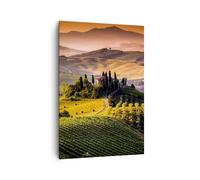 Quadro su Tela 70x100cm Agricoltura fattoria toscana vigna Stampe Murale