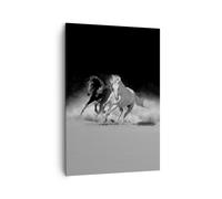 Quadro su Tela 70x100cm Andaluso Cavalli Galoppo Stampe Immagini Quadri Murale