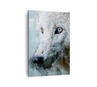 Quadro su Tela 70x100cm Bianco il lupo foto Stampe Immagini Quadri Murale