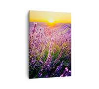 Quadro su Tela 70x100cm Campo Lavanda Sole Stampe Immagini Quadri Moderni Murale