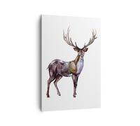 Quadro su Tela 70x100cm Caro animale selvatico foresta Stampe Immagini Murale