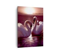 Quadro su Tela 70x100cm Cigni Campagna Acqua Stampe Immagini Quadri Murale