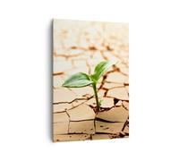 Quadro su Tela 70x100cm Deserto terra ambiente Stampe Immagini Quadri Murale