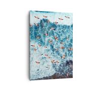 Quadro su Tela 70x100cm Fenicotteri Caraibi Uccelli Stampe Immagini Murale