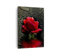 Quadro su Tela 70x100cm Fiore rosa rossa acqua rugiada Stampe Immagini Murale