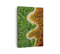 Quadro su Tela 70x100cm Fotografia aerea modo foresta Stampe Immagini Murale
