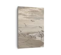 Quadro su Tela 70x100cm Gabbiani Costa Boho Stampe Immagini Quadri Murale