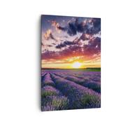 Quadro su Tela 70x100cm lavanda montagne campo Stampe Immagini Quadri Murale