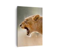 Quadro su Tela 70x100cm Leone Leonessa Zanne Stampe Immagini Quadri Murale