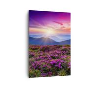Quadro su Tela 70x100cm Prato Montagna Cielo Paesaggio Stampe Immagini Murale
