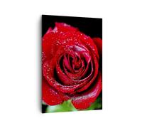 Quadro su Tela 70x100cm Rosa fiore petali acqua Stampe Immagini Quadri Murale