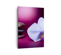 Quadro su Tela 70x100cm Spa pietre marrone orchidea bianca Stampe Murale