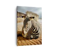 Quadro su Tela 70x100cm Zebra Spiaggia Campagna Stampe Immagini Quadri Murale