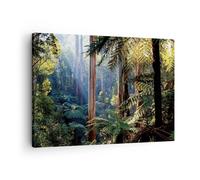 Quadro su Tela 70x50cm Alba alberi foresta Stampe Immagini Quadri Moderni Murale