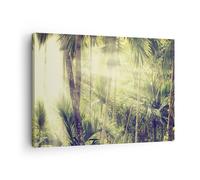 Quadro su Tela 70x50cm Alba giungla palme Stampe Immagini Quadri Moderni Murale