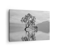 Quadro su Tela 70x50cm Albero Simmetria Lago Stampe Immagini Quadri Murale