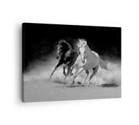 Quadro su Tela 70x50cm Andaluso Cavalli Galoppo Stampe Immagini Quadri Murale