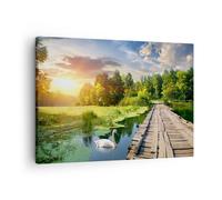 Quadro su Tela 70x50cm architettura lungomare Cigno Paesaggio Stampe Murale