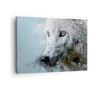 Quadro su Tela 70x50cm Bianco il lupo foto Stampe Immagini Quadri Moderni Murale