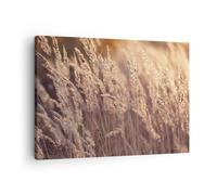 Quadro su Tela 70x50cm Boho Spighe Di Grano Campo Stampe Immagini Quadri Murale