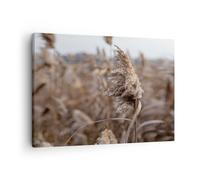 Quadro su Tela 70x50cm Boho Spighe Di Grano Erba Stampe Immagini Quadri Murale