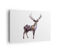 Quadro su Tela 70x50cm Caro animale selvatico foresta Stampe Immagini Murale