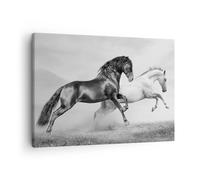 Quadro su Tela 70x50cm Cavalli Animali galoppo prato Stampe Immagini Murale