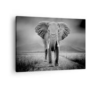 Quadro su Tela 70x50cm Elefante natura selvaggia natura Stampe Immagini Murale