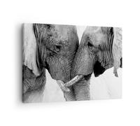 Quadro su Tela 70x50cm Elefanti Safari Bond Stampe Immagini Quadri Murale