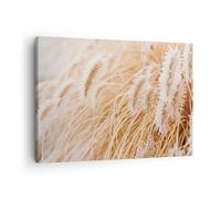 Quadro su Tela 70x50cm Erba Boho Luce Stampe Immagini Quadri Moderni Murale