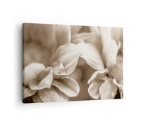 Quadro su Tela 70x50cm Fiori Boho Senza Stampe Immagini Quadri Moderni Murale