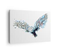 Quadro su Tela 70x50cm Gufo selvatico foresta volo Stampe Immagini Quadri Murale