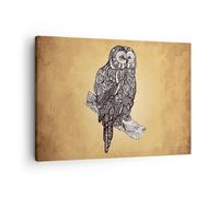 Quadro su Tela 70x50cm Gufo Uccello Animale Stampe Immagini Quadri Murale