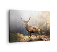 Quadro su Tela 70x50cm Luce cervo foresta Stampe Immagini Quadri Moderni Murale