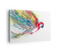 Quadro su Tela 70x50cm Parrot ali piume la natura Stampe Immagini Quadri Murale