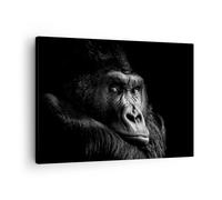 Quadro su Tela Scimmia Gorilla Ritratto Stampe da Parete 70x50cm Quadri Moderni Soggiorno Camera da Letto Cucina 1 pezzo Piccoli Decorazione Murale Wall Art Canvas Grafica Immagini AA70x50-5007