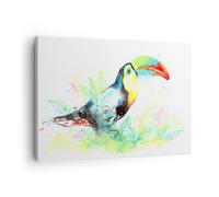 Quadro su Tela 70x50cm Uccello Tucano la curiosità selvaggio Stampe Murale