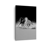 Quadro su Tela 80x120cm Andaluso Cavalli Galoppo Stampe Immagini Quadri Murale