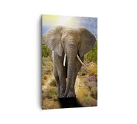 Quadro su Tela 80x120cm Animali Africa elefante camminare Stampe Immagini Murale