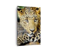 Quadro su Tela 80x120cm Animali pericoloso gatto selvatico Stampe Murale