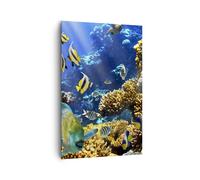 Quadro su Tela 80x120cm Barriera corallina oceano granchio pesce Stampe Murale