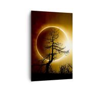 Quadro su Tela 80x120cm Eclipse il sole l'albero Stampe Immagini Quadri Murale