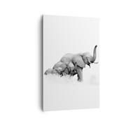Quadro su Tela 80x120cm Elefanti famiglia bianco e nero Stampe Immagini Murale