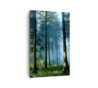 Quadro su Tela 80x120cm La foresta l'alba il sole Stampe Immagini Quadri Murale