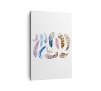 Quadro su Tela 80x120cm Piume uccelli animali composizione Stampe Murale