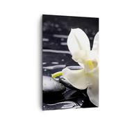Quadro su Tela 80x120cm Spa orchidee pietre acqua Stampe Immagini Quadri Murale