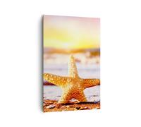 Quadro su Tela 80x120cm Stella marina Spiaggia sabbia oceano Stampe Murale