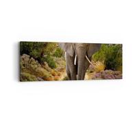 Quadro su Tela 90x30cm Animali Africa elefante camminare Stampe Immagini Murale